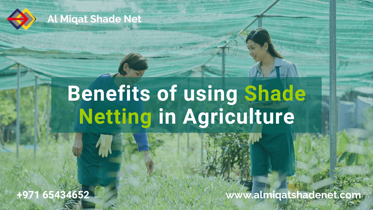 Benefits of using Shade Netting in Agriculture - Al Miqat Sharjah